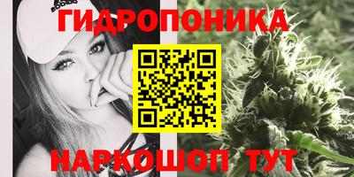 apvp Заволжье