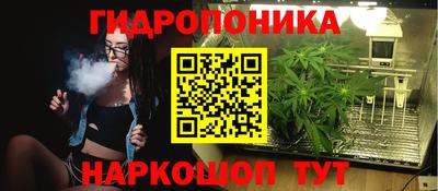 apvp Заволжье